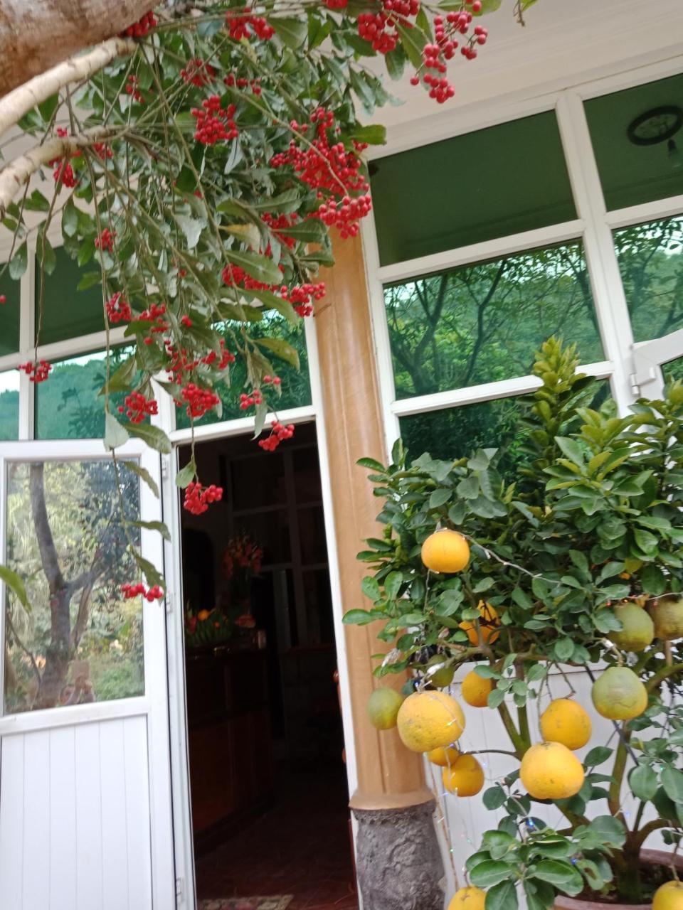 Cuc Phuong Hao Tham Homestay Hotel Nho Quan Exterior photo
